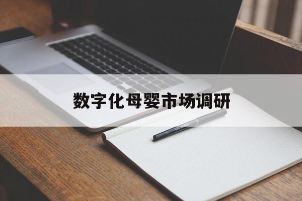 钦州市数字化母婴市场调研(数字化母婴市场调研报告)
